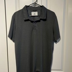 Reigning, champ polo